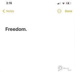 Freedom.
