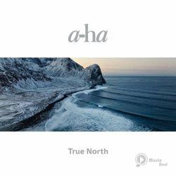 True North